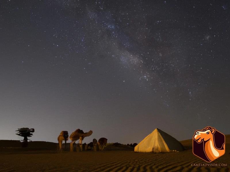 Benefits Of Camping With Camels