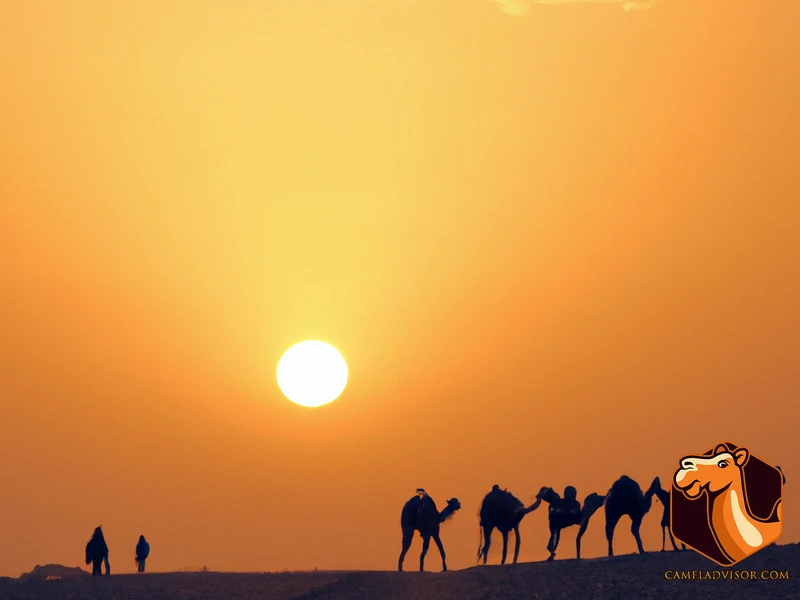 Benefits Of Using Camels For Desert Transportation
