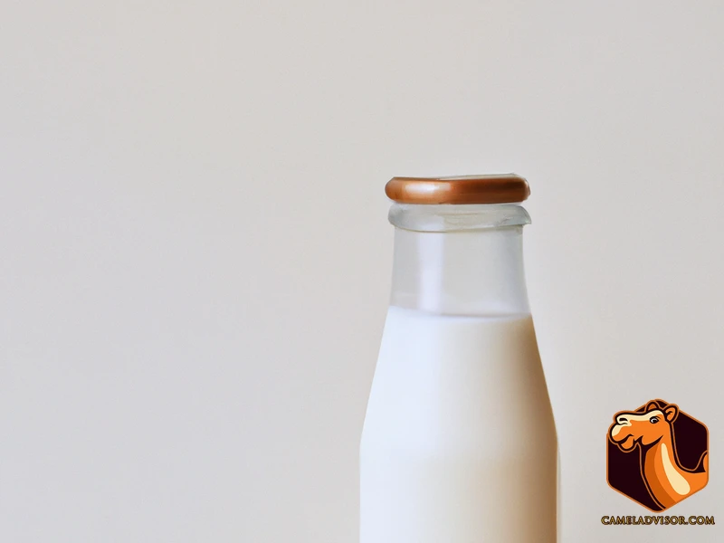 Camel Milk: The Benefits For Your Skin And Hair