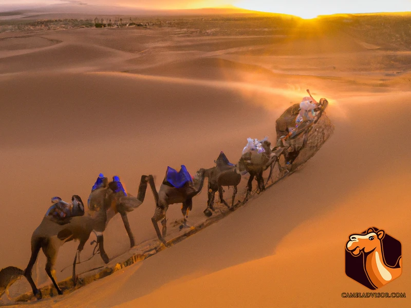History Of The Camel Caravans