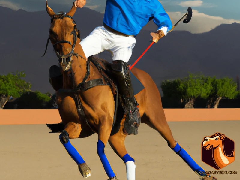 How To Play Camel Polo