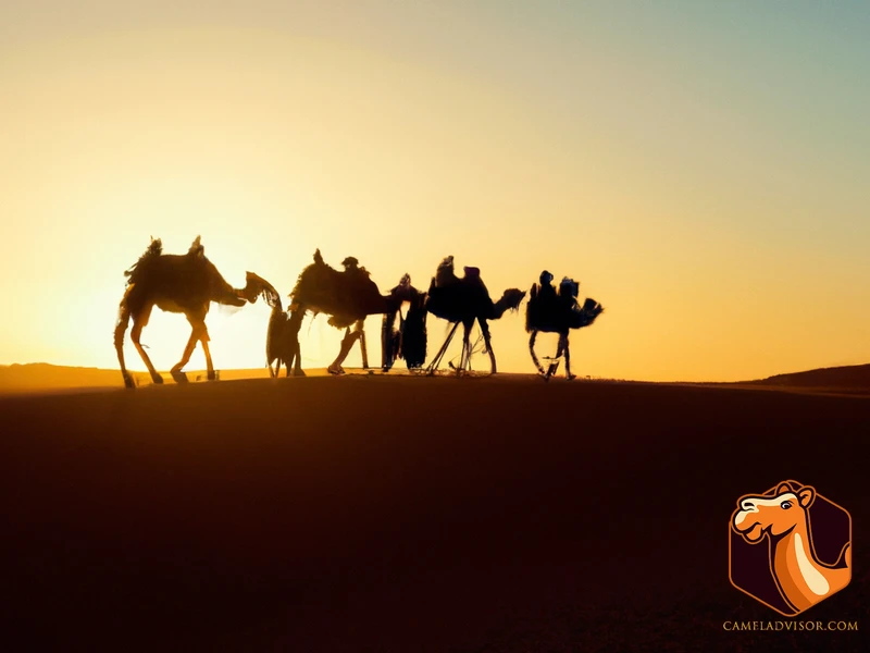 Multi-Day Camel Trek