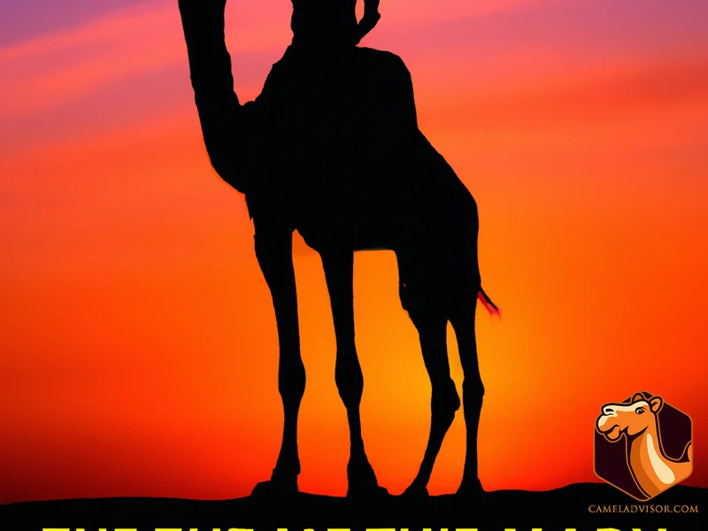 Myth #3: Anybody Can Ride A Camel