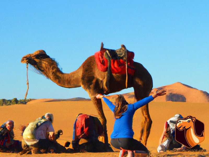 Successful Wild Camel Training Experiences