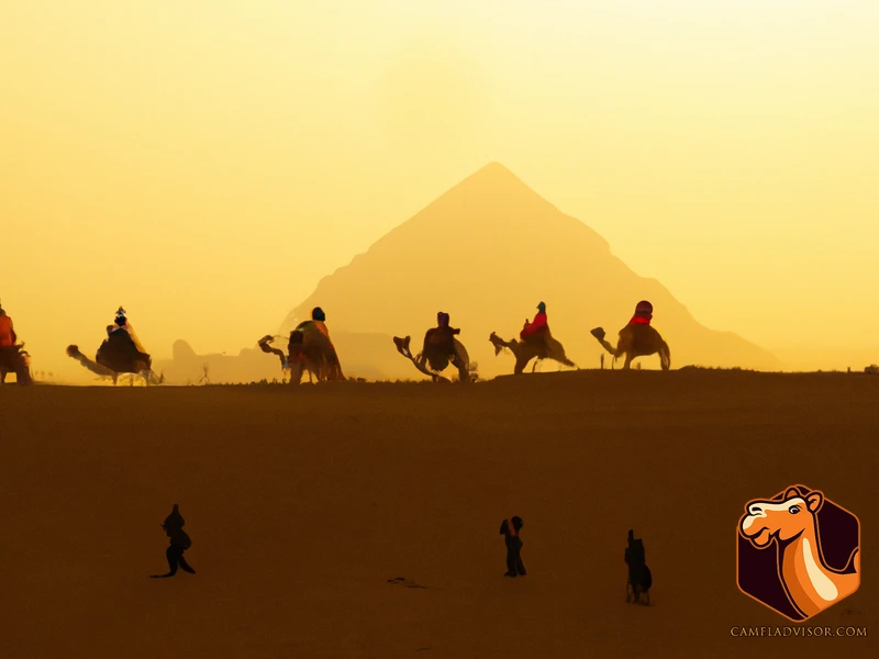 The Origins Of Camel Racing