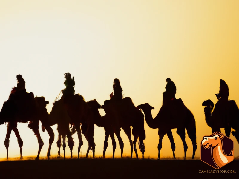 The Origins Of Camel Racing