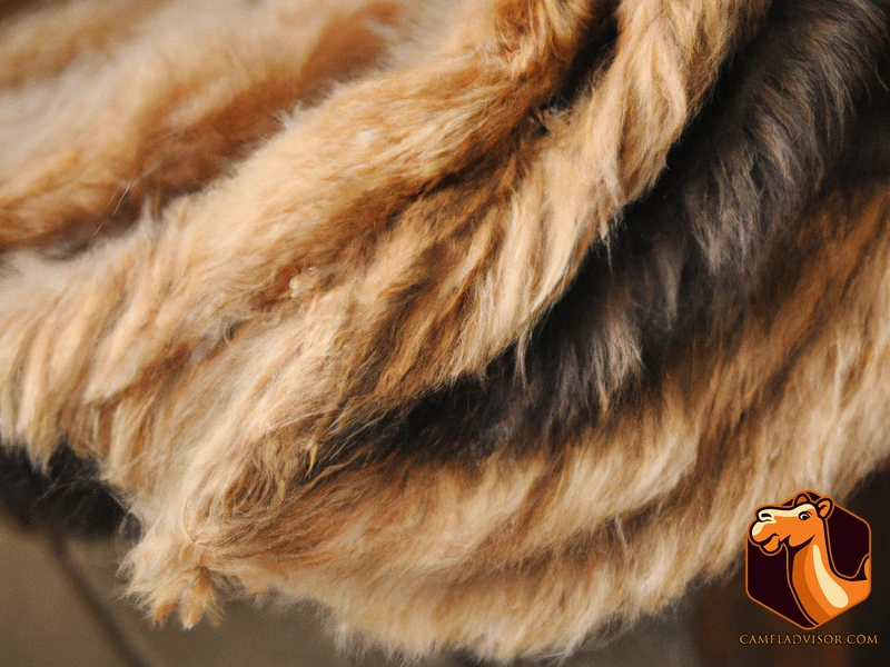 What Is Camel Wool?
