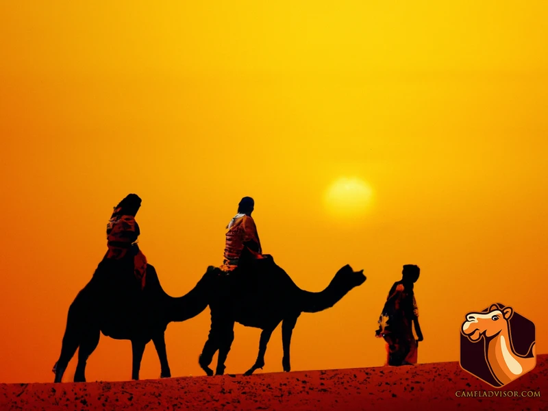 What To Wear For A Camel Riding Tour